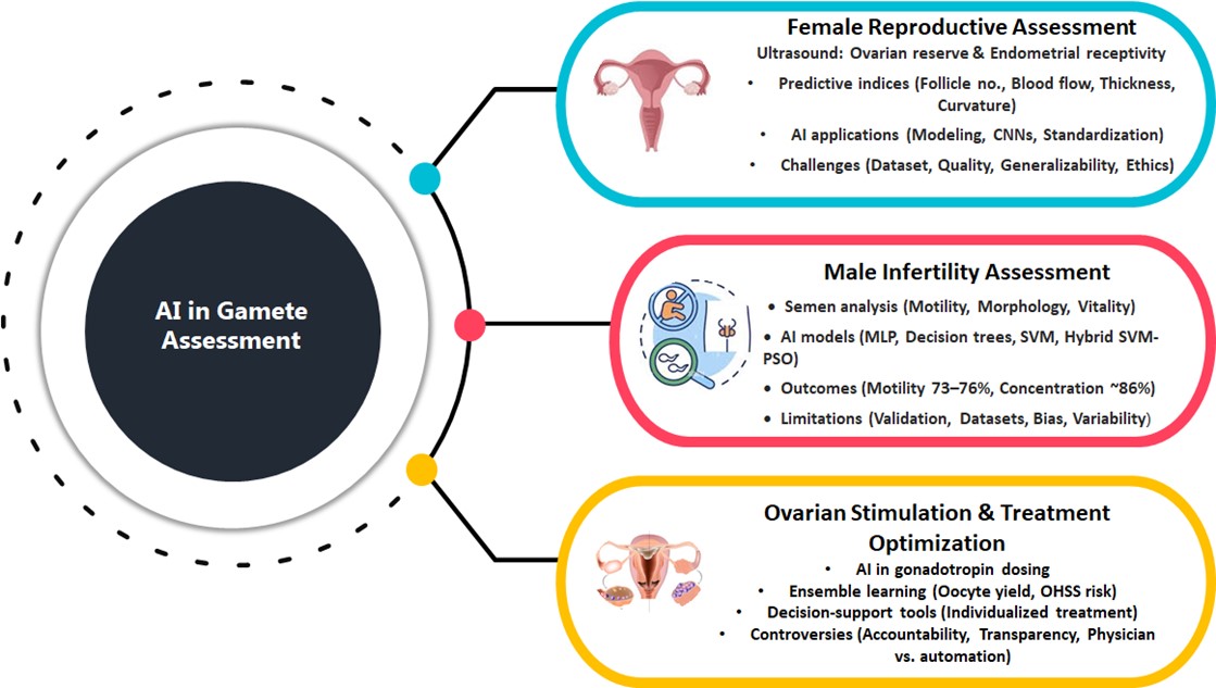 Artificial Intelligence in Reproductive Medicine: Transforming ...